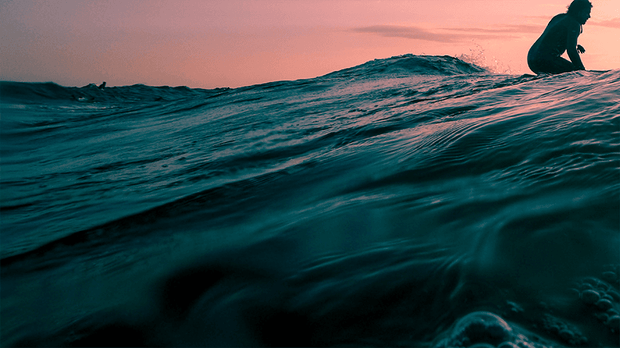 <h2>2) Haz tu pedido</h2>